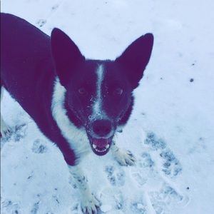 Meet your Posher, Grace